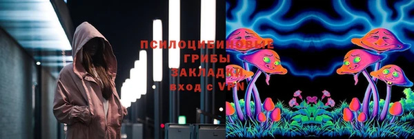 ешки Куйбышев