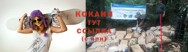 PSILOCYBIN Ладушкин