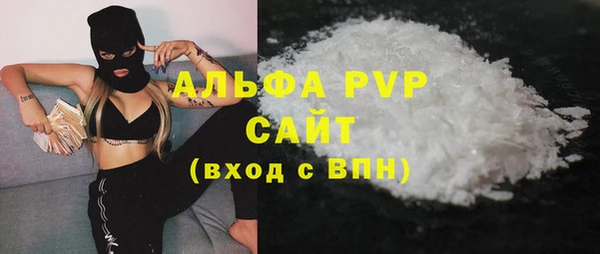 PSILOCYBIN Ладушкин