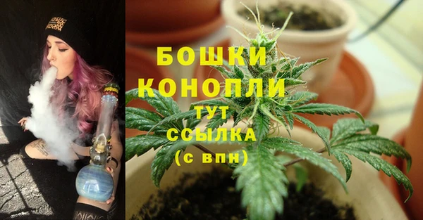PSILOCYBIN Ладушкин