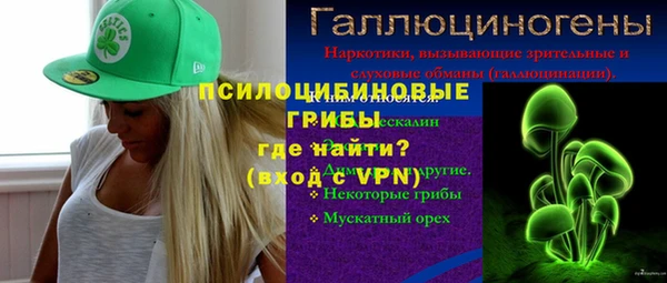 PSILOCYBIN Ладушкин