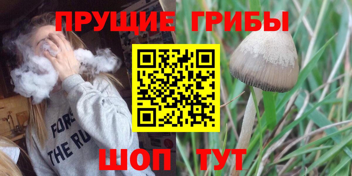 даркнет сайт  Вход с VPN  Людиново  Галлюциногенные грибы Cubensis 