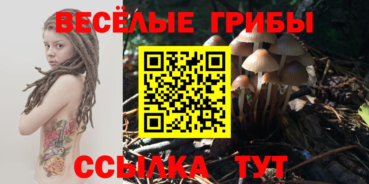 Галлюциногенные грибы ЛСД Людиново